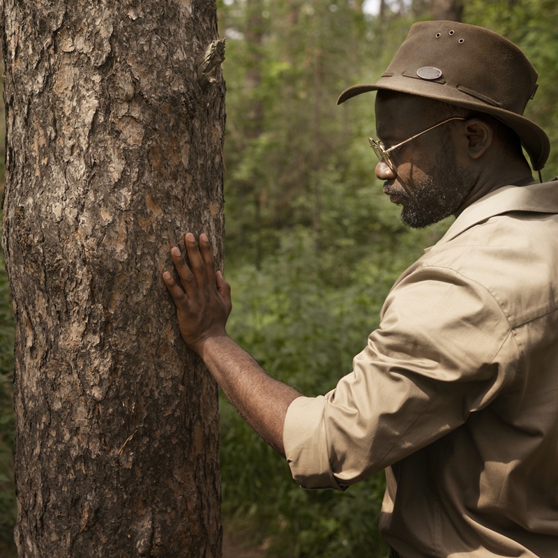 Un homme noir tapoter un arbre